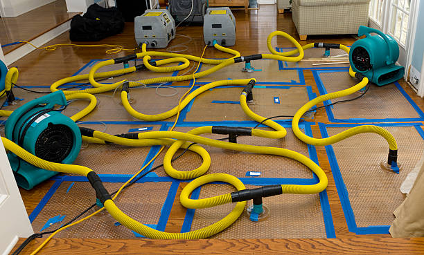 Professional Burst Pipe Water Damage technician working in Terra Bella, CA